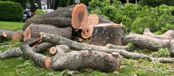 Best Lot and Land Clearing  in Baiting Hollow, NY